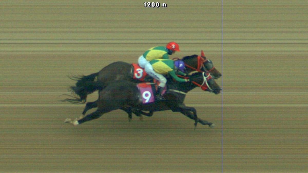 上任效果立竿见影，范尼执教莱斯特城首战即收获首胜